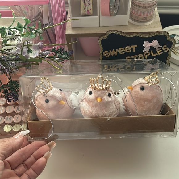 Wondershop Other - 🎀New Set 3 Christmas Pink Birdies w Tiaras Princess Birds Shabby Chic🐥🦜🕊️
